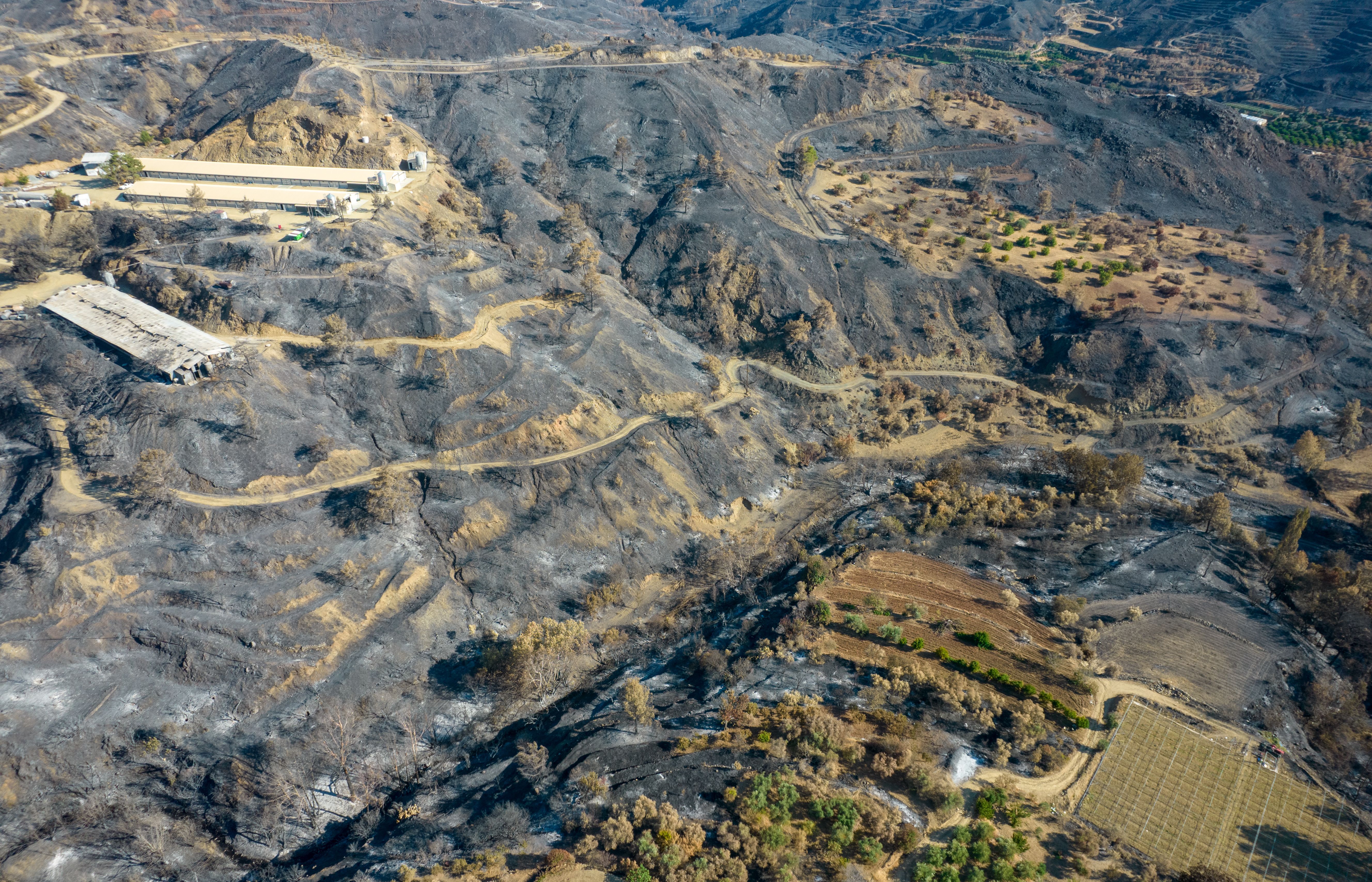Mountain fire with burned agriculture land and forest. Disaster of the environment Cyprus